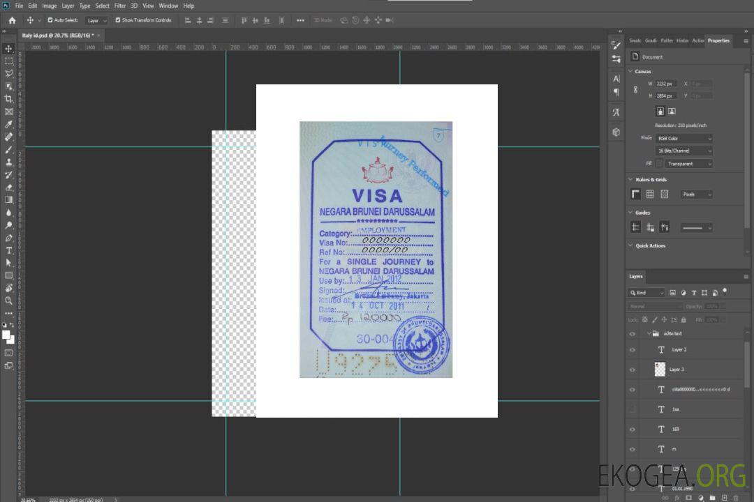 Visa timbre BRUNEI template